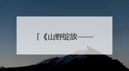 《山野绽放——中国乡村振兴中的民宿“她力量”》作品研讨会举办