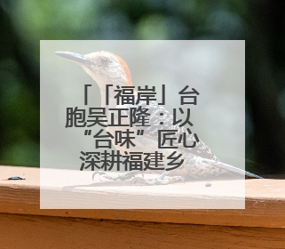 「福岸」台胞吴正隆：以“台味”匠心 深耕福建乡村振兴沃土