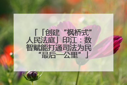 「创建“枫桥式”人民法庭」印江：数智赋能打通司法为民“最后一公里”