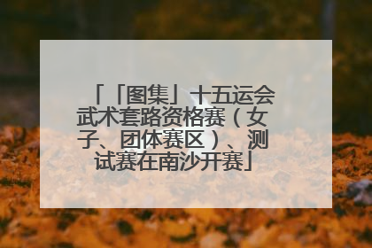 「图集」十五运会武术套路资格赛（女子、团体赛区）、测试赛在南沙开赛