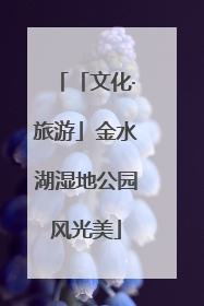 「文化·旅游」金水湖湿地公园风光美