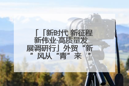 「新时代 新征程 新伟业·高质量发展调研行」外贸“新”风从“青”来 “双向奔赴”启新程