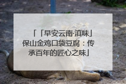 「早安云南·滇味」保山金鸡口袋豆腐：传承百年的匠心之味