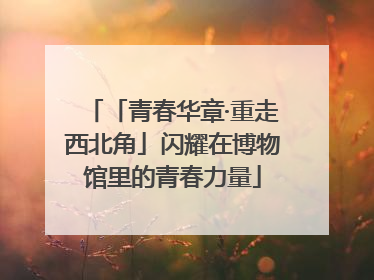 「青春华章·重走西北角」闪耀在博物馆里的青春力量