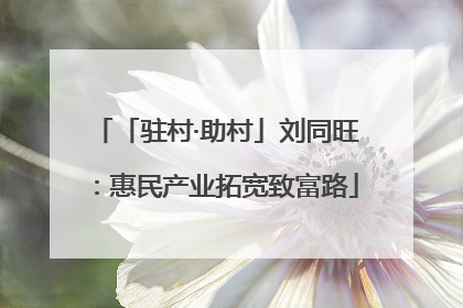 「驻村·助村」刘同旺：惠民产业拓宽致富路