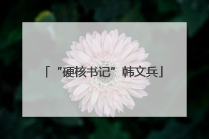 “硬核书记”韩文兵