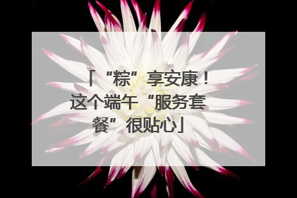 “粽”享安康！这个端午“服务套餐”很贴心