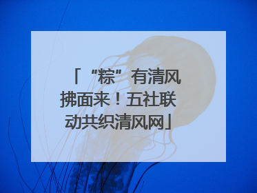 “粽”有清风拂面来！五社联动共织清风网