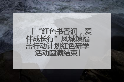 “红色书香润，爱伴成长行”凤城镇福蕾行动计划红色研学活动圆满结束