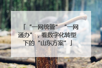 “一网统管”“一网通办”，看数字化转型下的“山东方案”