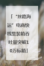 “丝路海运”电商快线集装箱吞吐量突破10万标箱