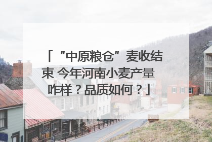“中原粮仓”麦收结束 今年河南小麦产量咋样？品质如何？