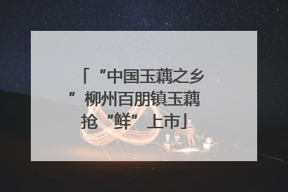 “中国玉藕之乡”柳州百朋镇玉藕抢“鲜”上市