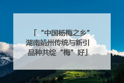 “中国杨梅之乡”湖南靖州传统与新引品种共绽“梅”好
