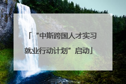 “中斯跨国人才实习就业行动计划”启动