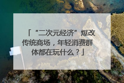 “二次元经济”爆改传统商场，年轻消费群体都在玩什么？