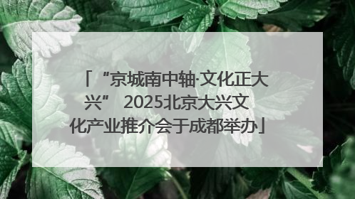 “京城南中轴·文化正大兴” 2025北京大兴文化产业推介会于成都举办