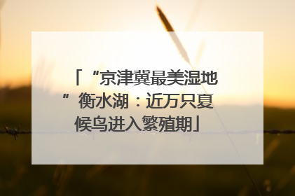 “京津冀最美湿地”衡水湖：近万只夏候鸟进入繁殖期