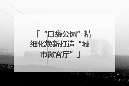 “口袋公园”精细化焕新打造“城市微客厅”