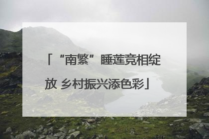 “南繁”睡莲竞相绽放 乡村振兴添色彩