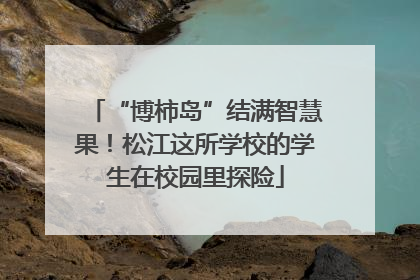 “博柿岛”结满智慧果！松江这所学校的学生在校园里探险