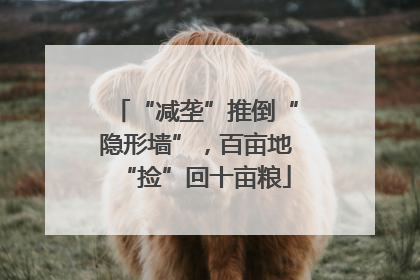 “减垄”推倒“隐形墙”，百亩地“捡”回十亩粮