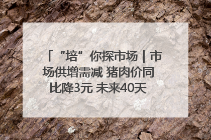 “培”你探市场｜市场供增需减 猪肉价同比降3元 未来40天便宜猪肉敞开吃