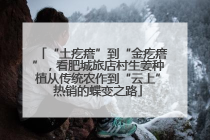 “土疙瘩”到“金疙瘩”，看肥城旅店村生姜种植从传统农作到“云上”热销的蝶变之路