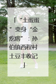 “土蛋蛋”变身“金疙瘩”：孙伯镇西程村土豆丰收记