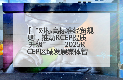 “对标高标准经贸规则，推动RCEP提质升级”——2025RCEP区域发展媒体智库论坛举行专题对话