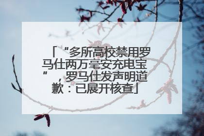 “多所高校禁用罗马仕两万毫安充电宝”，罗马仕发声明道歉：已展开核查