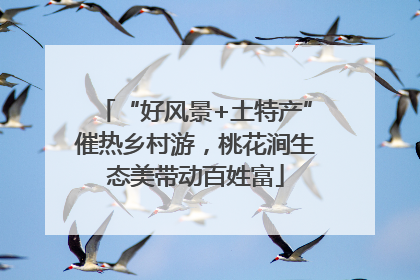 “好风景+土特产”催热乡村游，桃花涧生态美带动百姓富