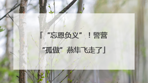 “忘恩负义”！警营“孤傲”燕隼飞走了