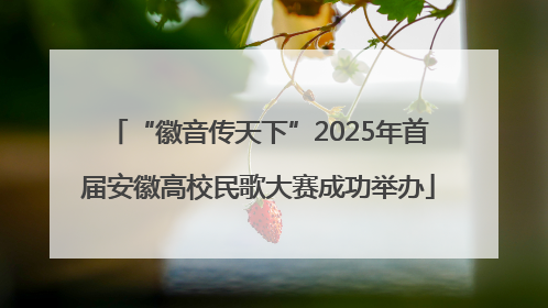 “徽音传天下”2025年首届安徽高校民歌大赛成功举办