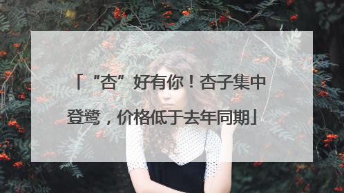 “杏”好有你！杏子集中登鹭，价格低于去年同期