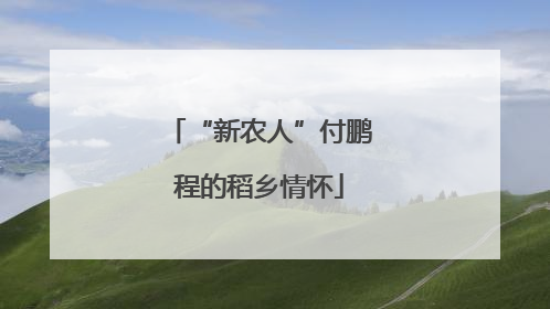 “新农人”付鹏程的稻乡情怀