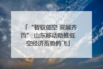 “智驭低空 翼展齐鲁” 山东移动助推低空经济蓄势腾飞