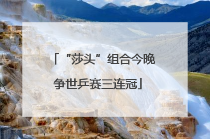 “莎头”组合今晚争世乒赛三连冠