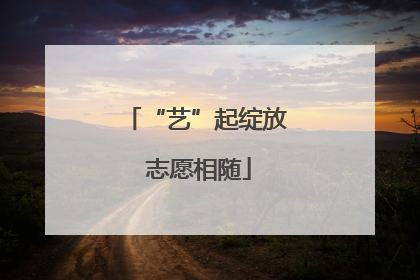 “艺”起绽放 志愿相随