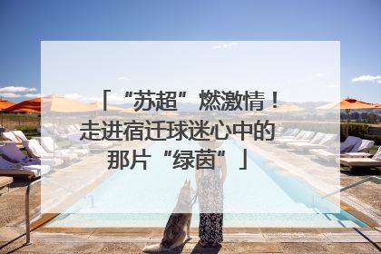 “苏超”燃激情！走进宿迁球迷心中的那片“绿茵”