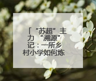 “苏超”主力 “溯源” 记：一所乡村小学如何炼成足球 “造星梦工场”