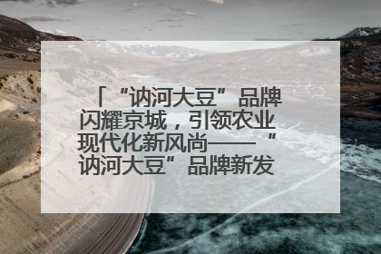 “讷河大豆”品牌闪耀京城，引领农业现代化新风尚——“讷河大豆”品牌新发地推介会圆满落幕