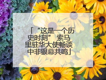 “这是一个历史时刻” 索马里驻华大使畅谈中非银幕共鸣