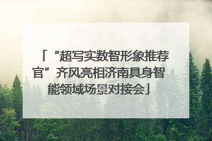 “超写实数智形象推荐官”齐风亮相济南具身智能领域场景对接会