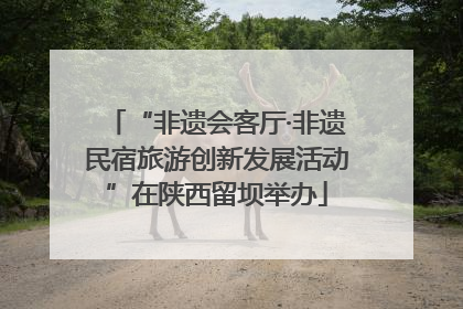 “非遗会客厅·非遗民宿旅游创新发展活动”在陕西留坝举办