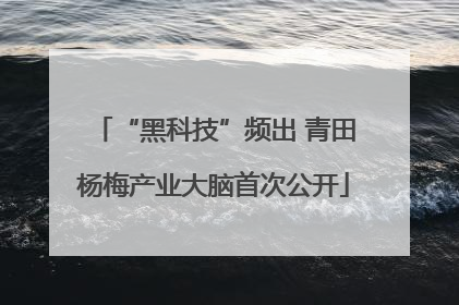 “黑科技”频出 青田杨梅产业大脑首次公开