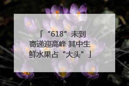 “618”未到 寄递迎高峰 其中生鲜水果占“大头”