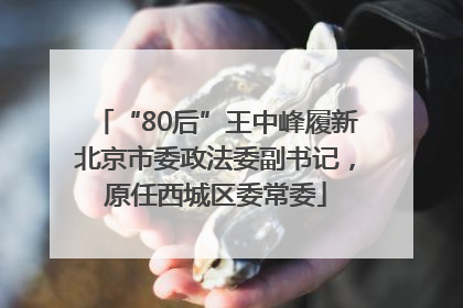 “80后”王中峰履新北京市委政法委副书记，原任西城区委常委