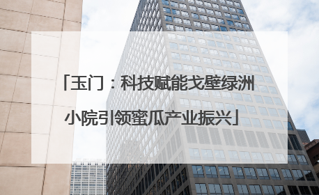 玉门：科技赋能戈壁绿洲 小院引领蜜瓜产业振兴