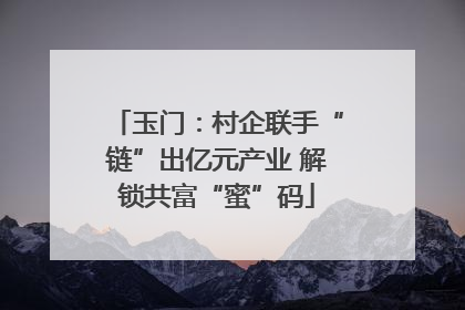 玉门：村企联手“链”出亿元产业 解锁共富“蜜”码